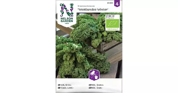 Kaali, Lehti-, Westlandse Winter, Organi - Vihannesten ja hedelmien siemenet - 7312600854659 - 1