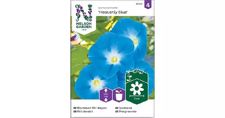 Päivänsini, Heavenly Blue - Kukkien siemenet - 7312600872479 - 1