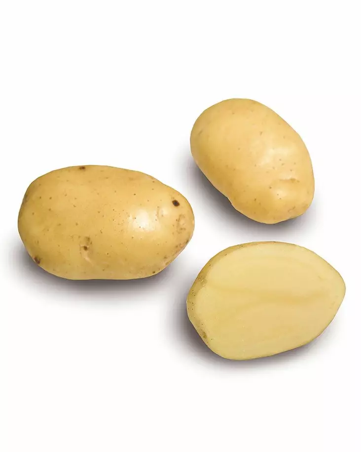 SIEMENPERUNA SIIKLI - Siemenperunat ja juurekset - 6417486000549 - 1