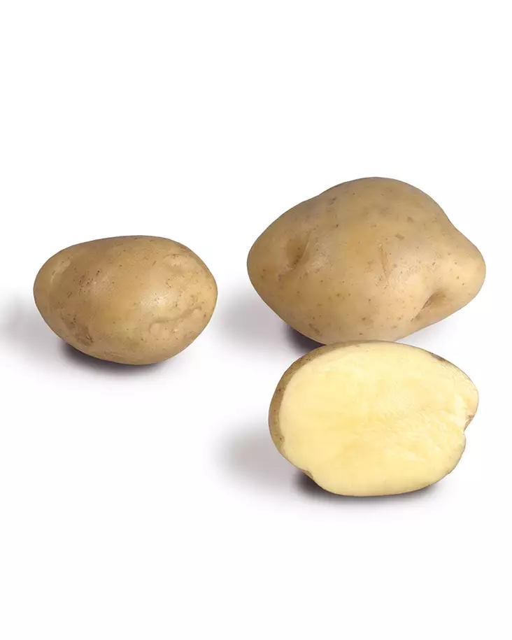 SIEMENPERUNA TIMO - Siemenperunat ja juurekset - 6417486000129 - 1