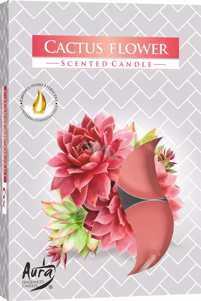 Tuoksulämpökynttilä Cactus Flower 6 kpl - Pöytäkynttilät ja tuoksukynttilät - 5906927032269 - 1