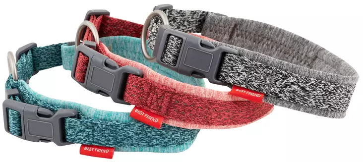 Daily Walker panta L, 45-55cm - Koiran pannat - 5700551142529 - 1