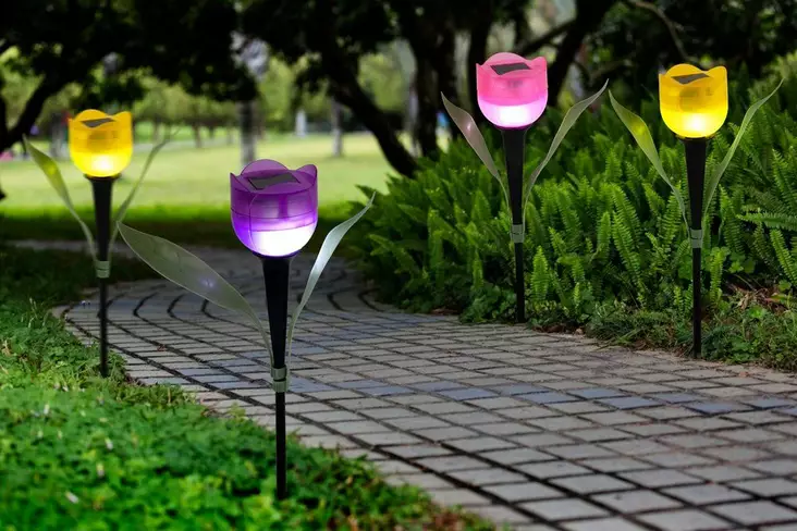 Tarmo Solar Valokukka - Aurinkokennovalaisimet - 6410416231709 - 1