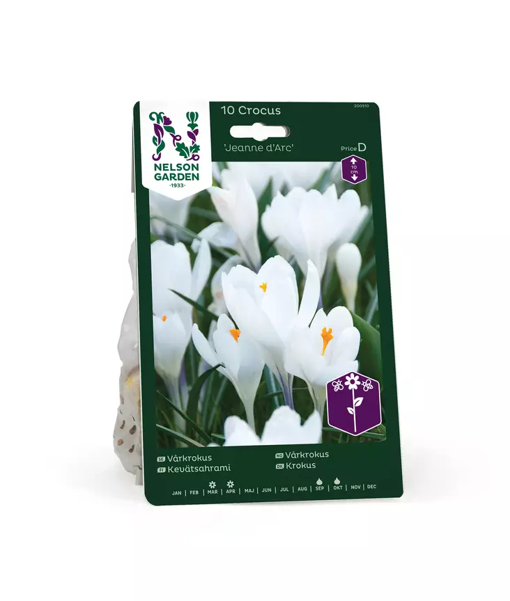 SYYSSIPULI KROOKUS KEVÄTSAHRAMI - Siemenet ja sipulit - 7312602003109 - 1