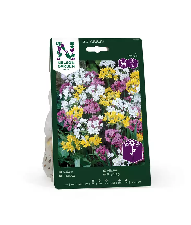 SYYSSIPULI LAUKKA ALLIUM - Siemenet ja sipulit - 7312602000009 - 1