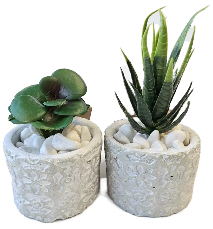 TEKOKUKKA MESIKASVI RUUKUSSA - Tekokukat ja -kasvit - 6438159393409 - 1